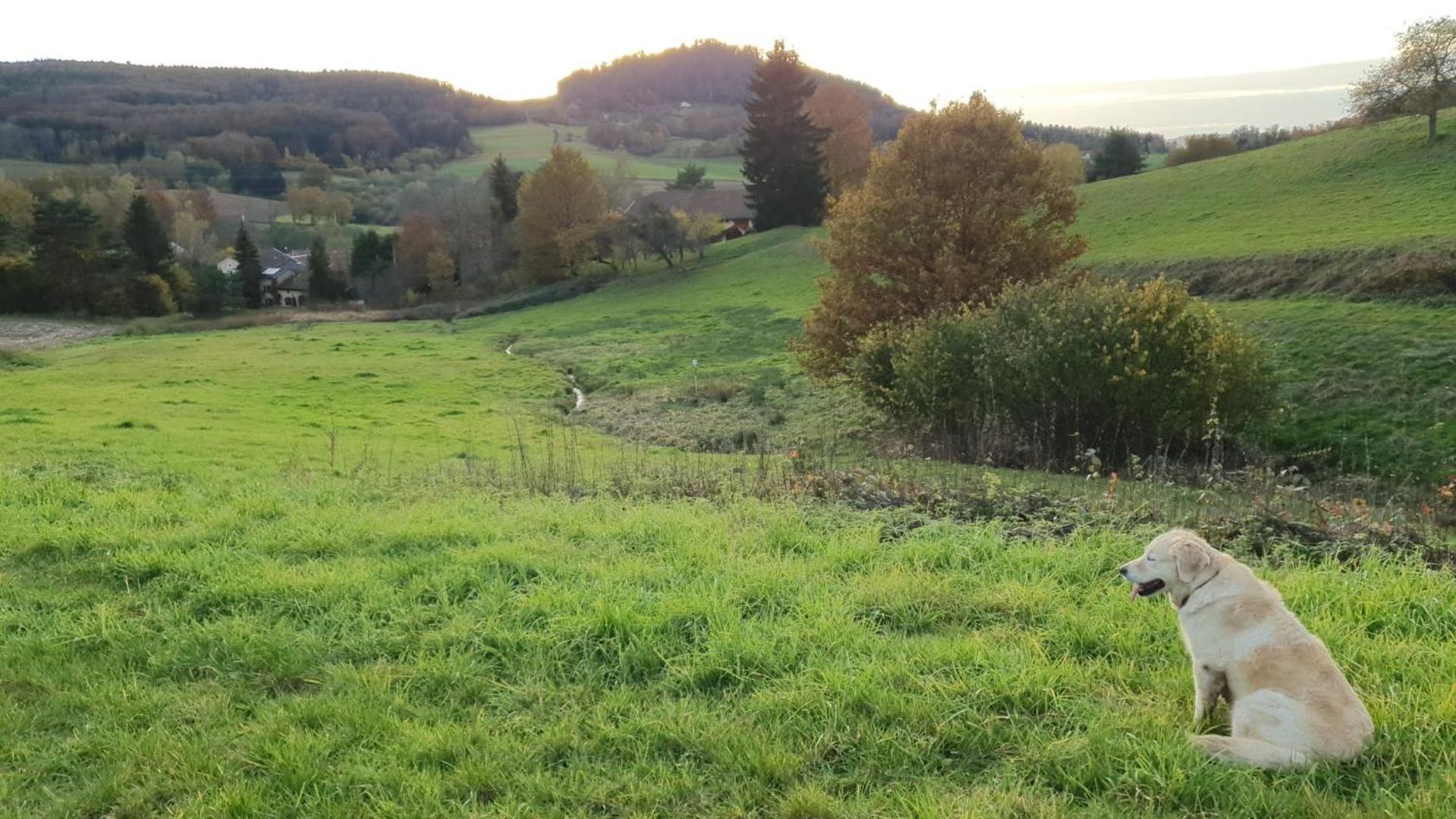 La Chapelle S'Yvoux Plaitアパートメント エクステリア 写真